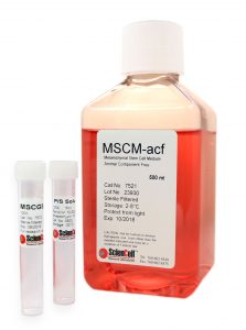 Serum in Cell Culture Today