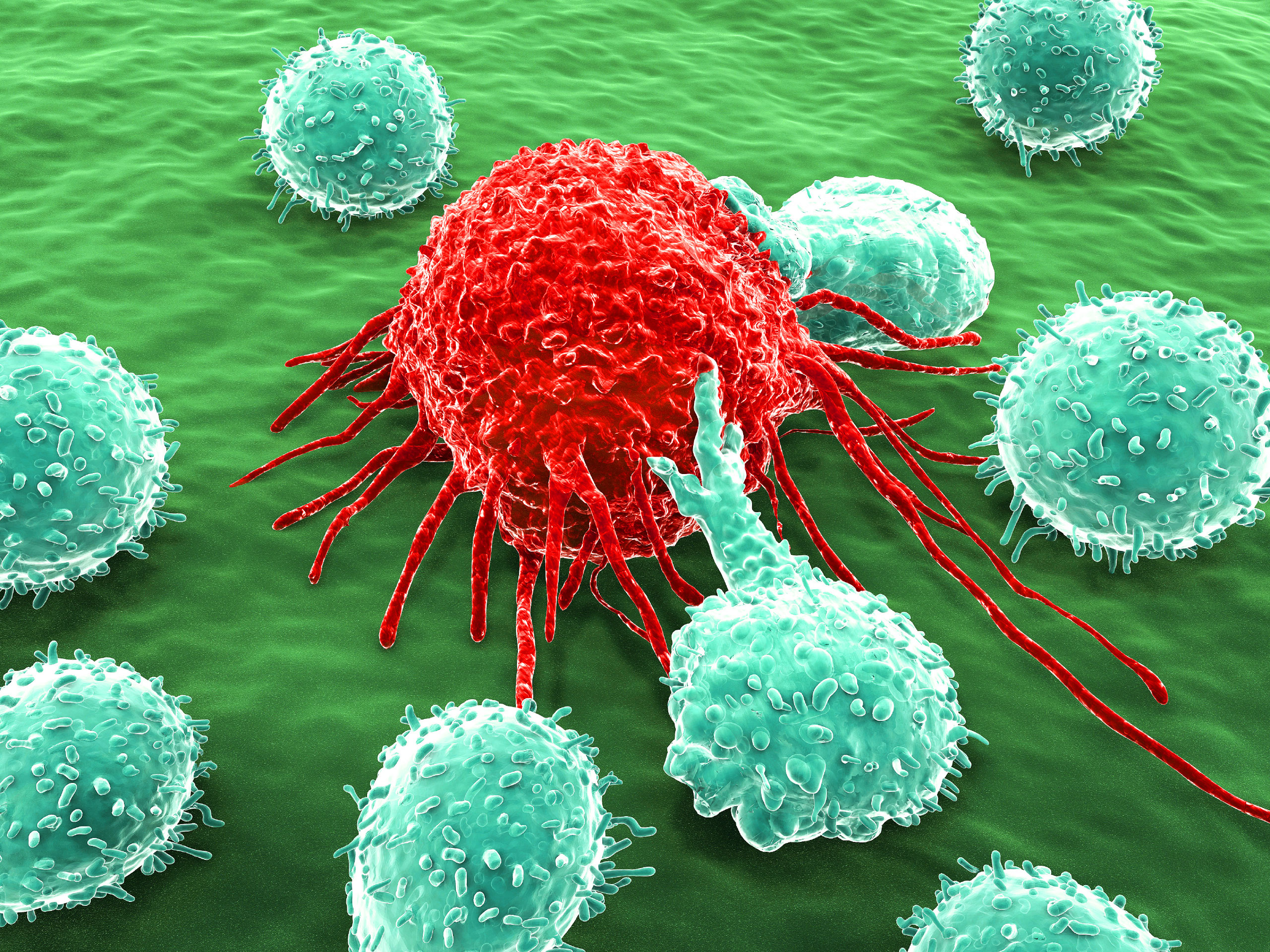 Cancer Immunotherapy: a Colorful Past and a Bright Future