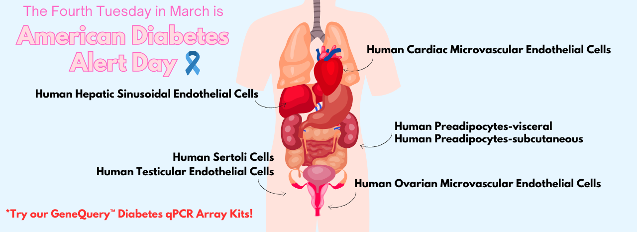 American Diabetes Alert Day