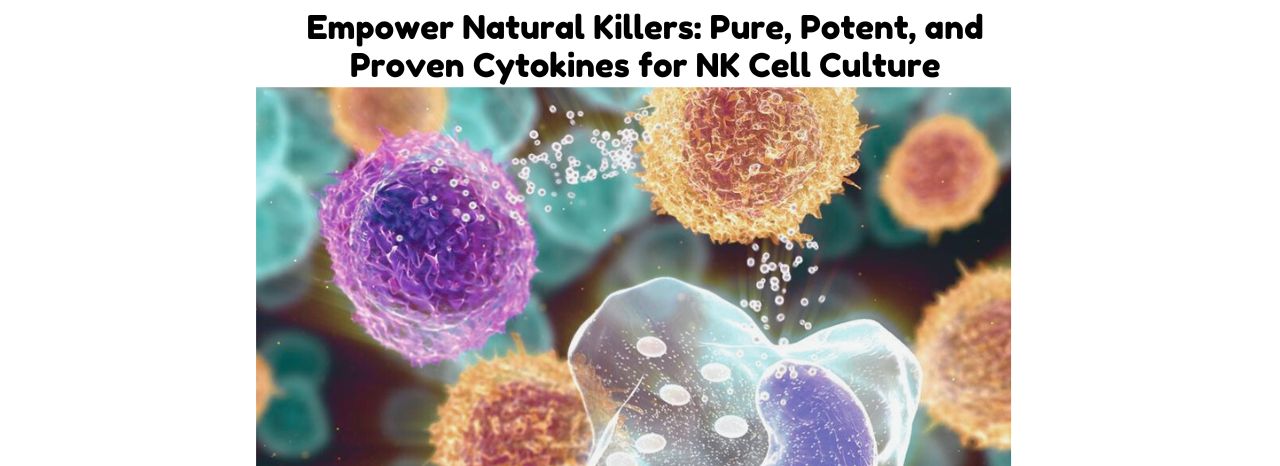 Natural killer (NK) cell growth factors and cytokines