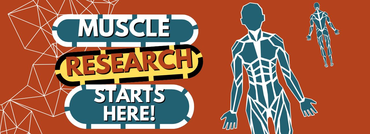 Muscle Research Starts Here!