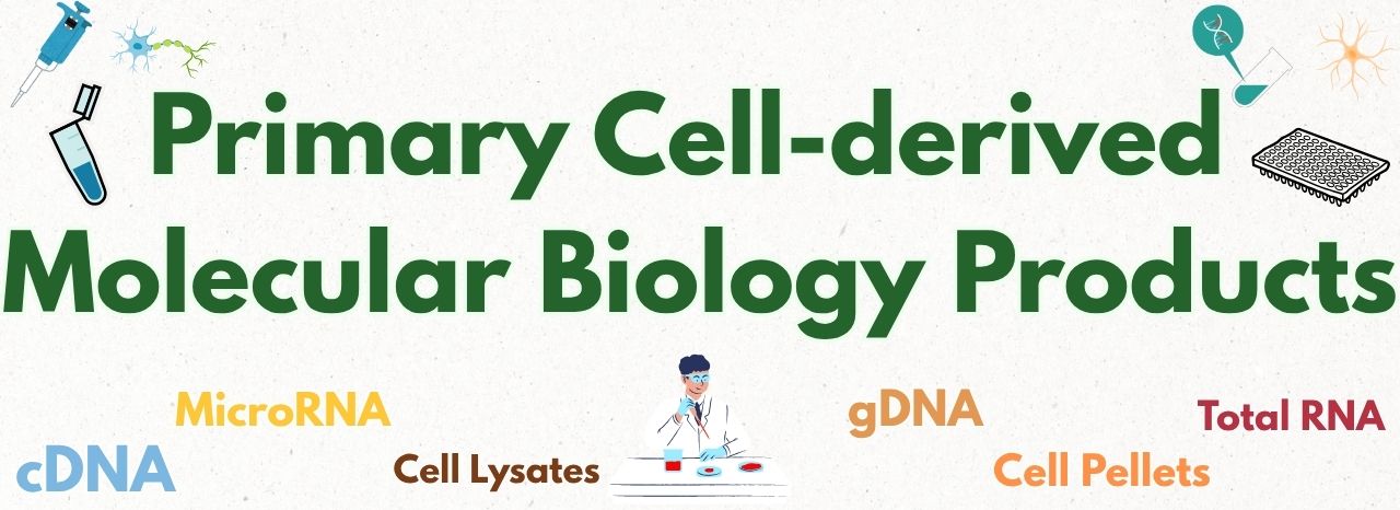 Primary Cell-derived Molecular Biology Products