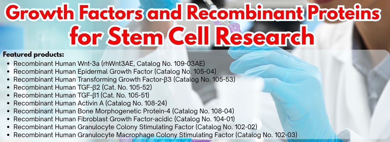 Growth Factors and Recombinant Proteins for Stem Cell Research