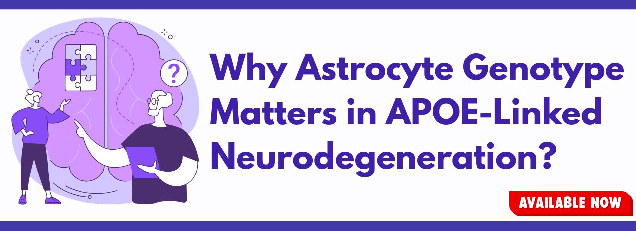 Why Astrocyte Genotype Matters in APOE-Linked Neurodegeneration?