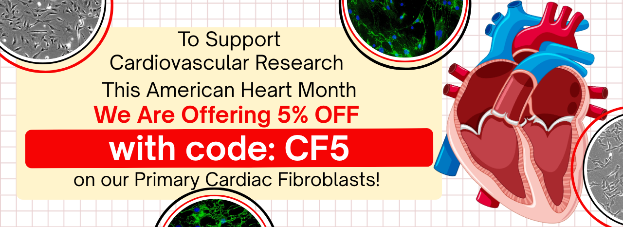 ScienCell is Supporting Cardiovascular Research This American Heart Month!