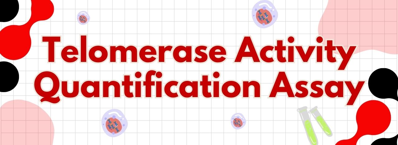 Measure Telomerase Activity Quickly & Accurately with ScienCell's Telomerase Activity Quantification qPCR Assay Kit!