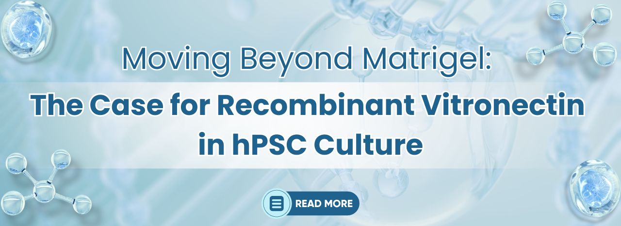 Moving Beyond Matrigel