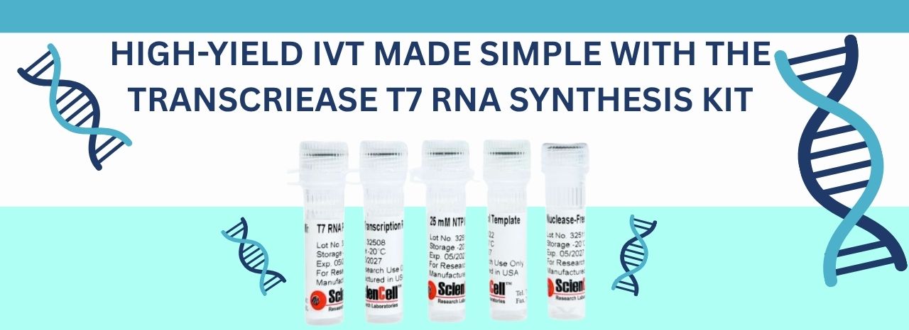 Streamline Your IVT Workflow with TranscriEase