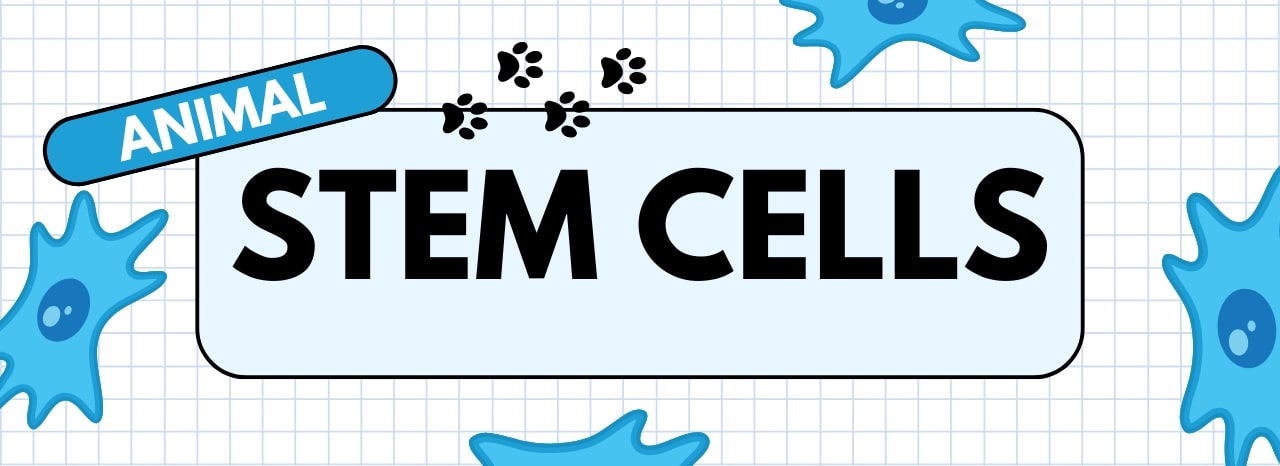 Animal Stem Cells Banner
