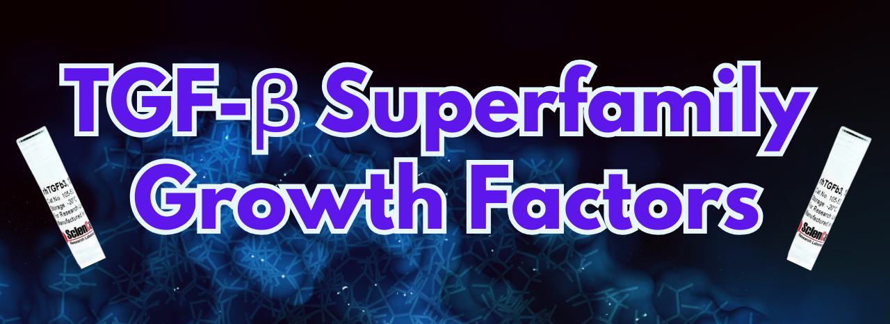 TGF-beta Superfamily Growth Factors TGF-beta Superfamily Growth Factors