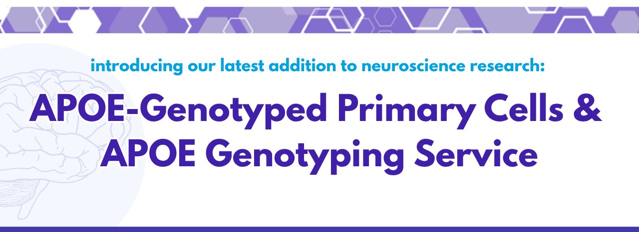 APOE Genotyping Service