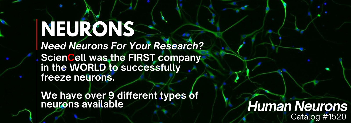 Neurons-Category