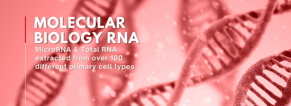 microbioRNA-featuredimage-categorypage