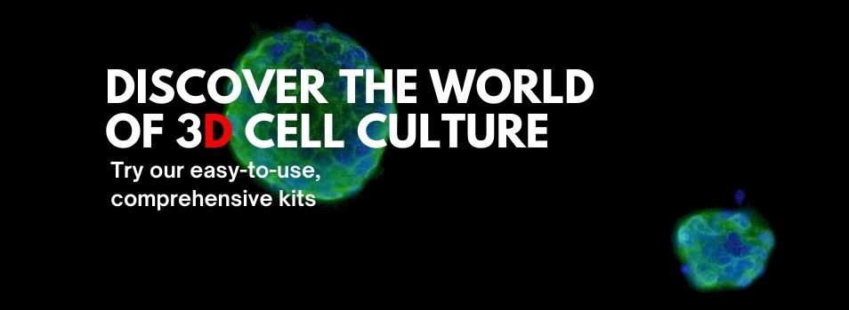 3DCellCulture-featuredimage-categorypage