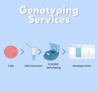 Genotyping Service