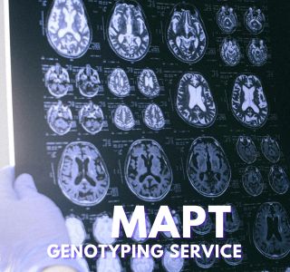 MAPT基因分型服务
