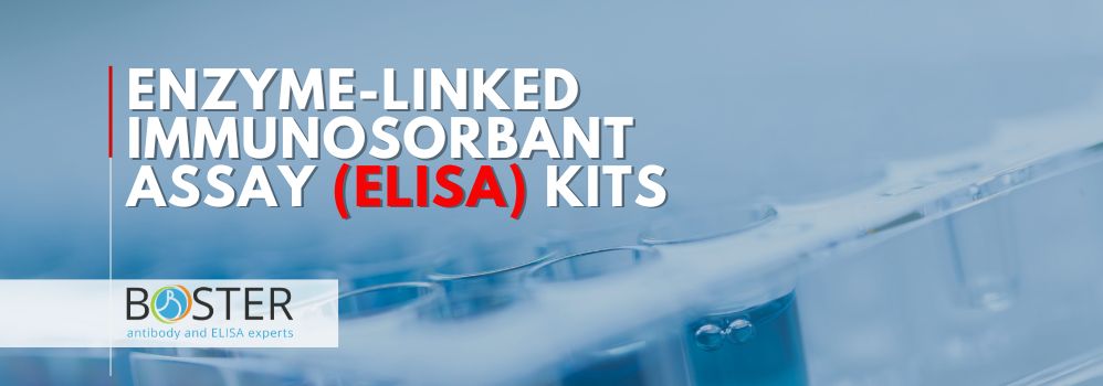 ELISAKits-CategoryPage