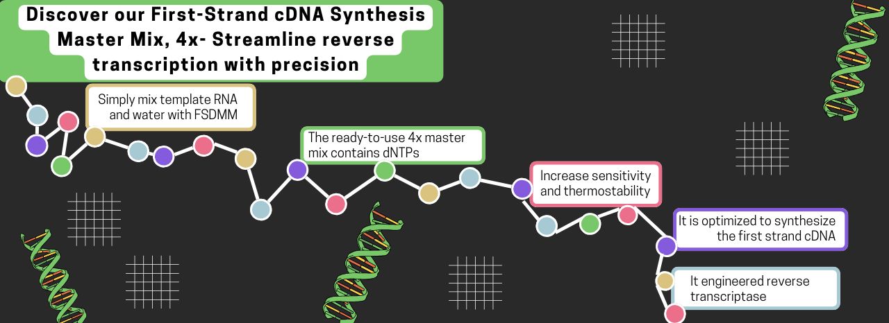Introducing Our 4x First-Strand cDNA Synthesis Master Mix!