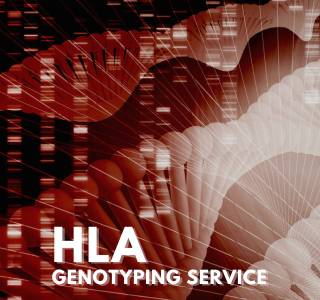 HLA