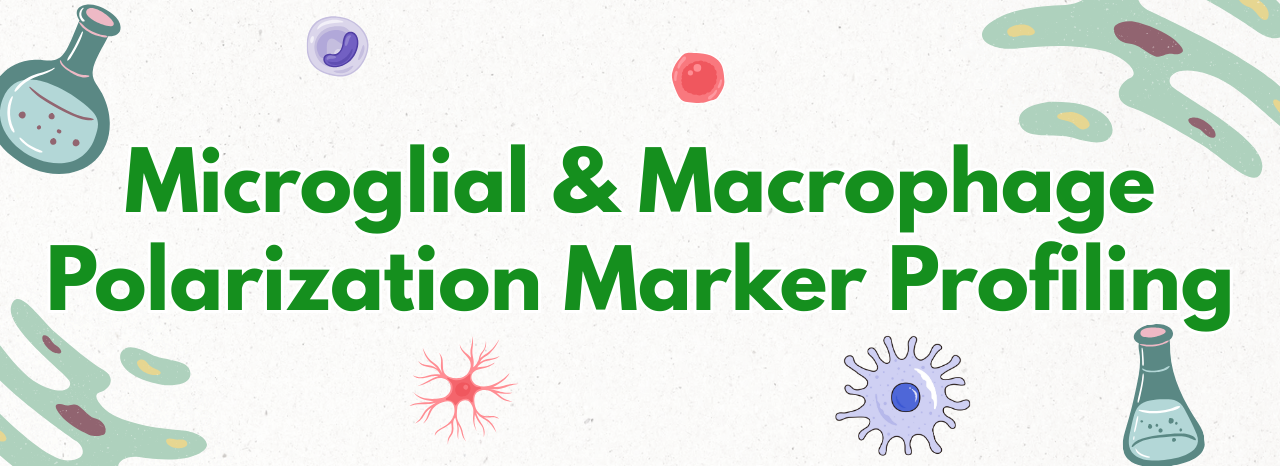 Microglial & Macrophage Polarization Marker Profiling