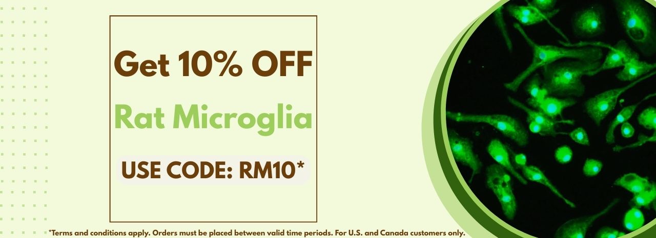 Get 10% off Rat Microglia Today! Get 10% off Rat Microglia Today!