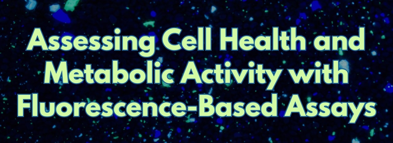 Fluorescence-Based Assays