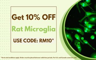 Get 10% off Rat Microglia Today! Get 10% off Rat Microglia Today!